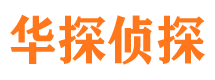 岭东市调查公司